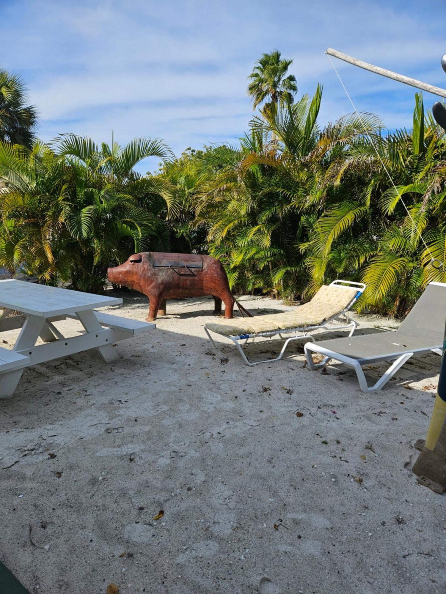 Oasis Palms Resort St. Pete Beach Kültér fotó